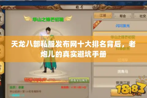 天龙八部私服发布网十大排名背后,老炮儿的真实避坑手册 天龙八部私服发布网十大排名背后,老炮儿的真实避坑手册