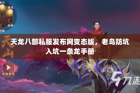 天龙八部私服发布网变态版，老鸟防坑入坑一条龙手册