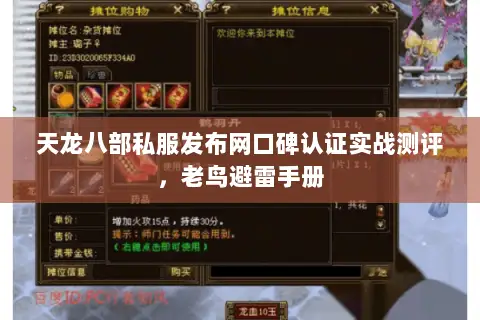 天龙八部私服发布网口碑认证实战测评,老鸟避雷手册 天龙八部私服发布网口碑认证实战测评,老鸟避雷手册