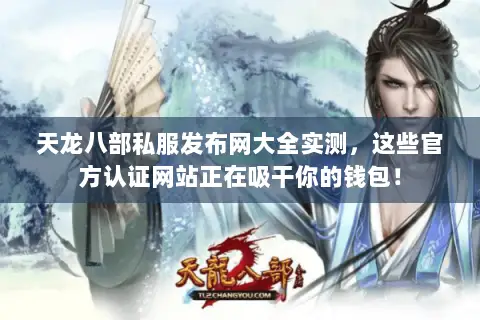 天龙八部私服发布网大全实测，这些官方认证网站正在吸干你的钱包！