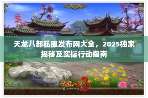 天龙八部私服发布网大全，2025独家揭秘及实操行动指南