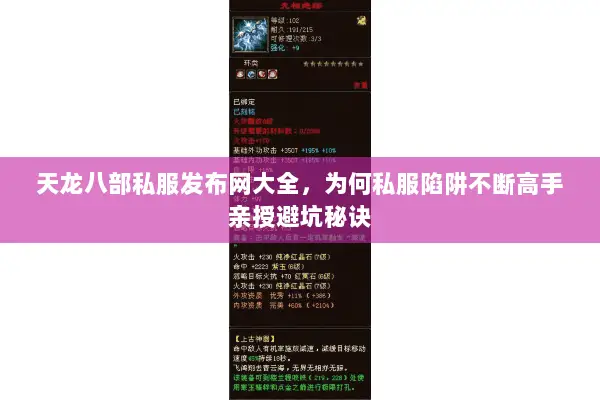 天龙八部私服发布网大全，为何私服陷阱不断高手亲授避坑秘诀