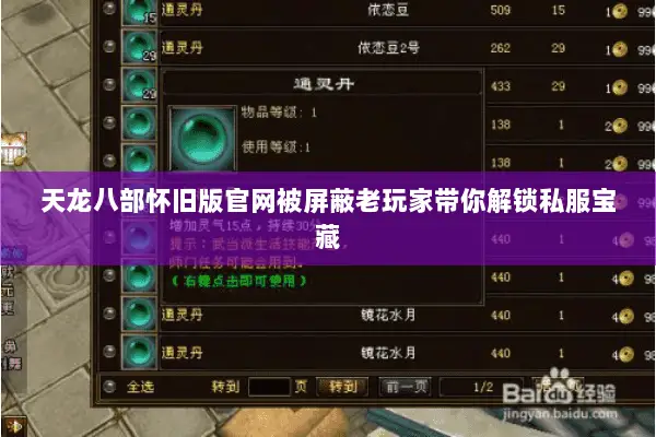 天龙八部怀旧版官网被屏蔽老玩家带你解锁私服宝藏