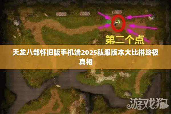 天龙八部怀旧版手机端2025私服版本大比拼终极真相 天龙八部怀旧版手机端2025私服版本大比拼终极真相