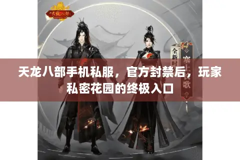 天龙八部手机私服，官方封禁后，玩家私密花园的终极入口