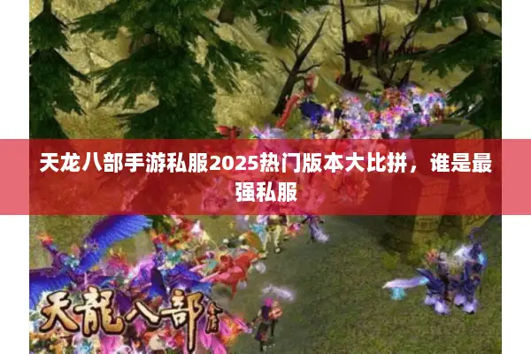天龙八部手游私服2025热门版本大比拼，谁是最强私服