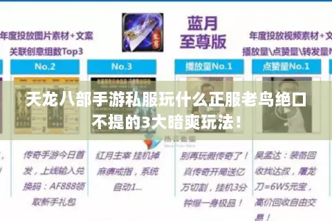 天龙八部手游私服玩什么正服老鸟绝口不提的3大暗爽玩法! 天龙八部手游私服玩什么正服老鸟绝口不提的3大暗爽玩法!