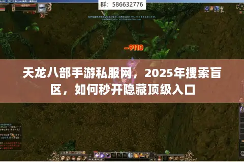 天龙八部手游私服网,2025年搜索盲区,如何秒开隐藏顶级入口 天龙八部手游私服网,2025年搜索盲区,如何秒开隐藏顶级入口