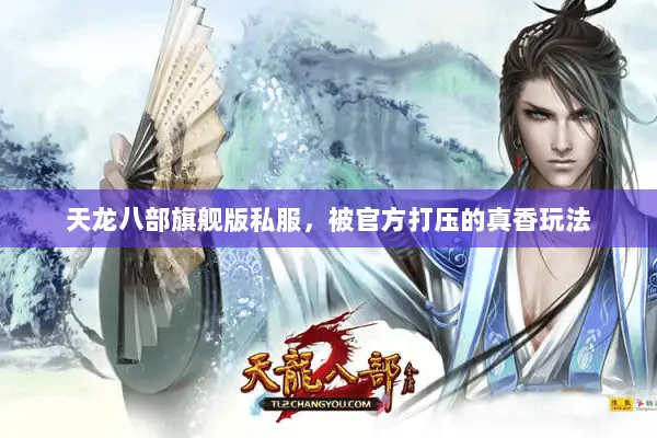 天龙八部旗舰版私服,被官方打压的真香玩法 天龙八部旗舰版私服,被官方打压的真香玩法