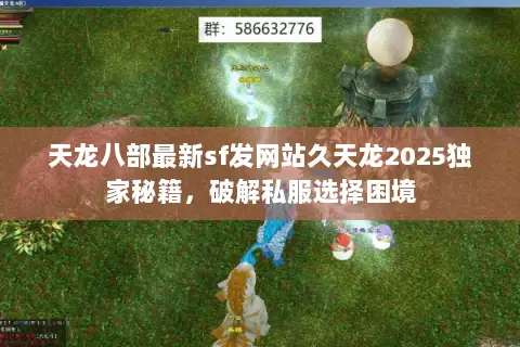 天龙八部最新sf发网站久天龙2025独家秘籍,破解私服选择困境 天龙八部最新sf发网站久天龙2025独家秘籍,破解私服选择困境