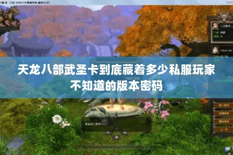 天龙八部武圣卡到底藏着多少私服玩家不知道的版本密码 天龙八部武圣卡到底藏着多少私服玩家不知道的版本密码