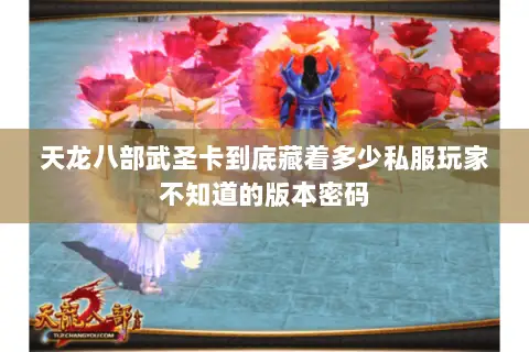 天龙八部武圣卡到底藏着多少私服玩家不知道的版本密码 天龙八部武圣卡到底藏着多少私服玩家不知道的版本密码
