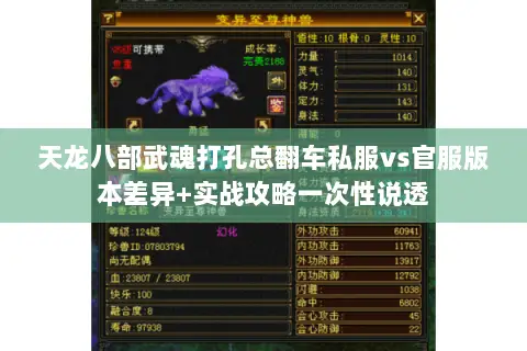 天龙八部武魂打孔总翻车私服vs官服版本差异+实战攻略一次性说透 天龙八部武魂打孔总翻车私服vs官服版本差异+实战攻略一次性说透