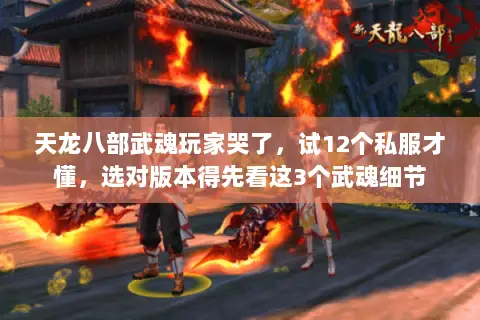 天龙八部武魂玩家哭了,试12个私服才懂,选对版本得先看这3个武魂细节 天龙八部武魂玩家哭了,试12个私服才懂,选对版本得先看这3个武魂细节