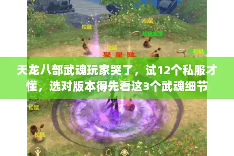 天龙八部武魂玩家哭了,试12个私服才懂,选对版本得先看这3个武魂细节 天龙八部武魂玩家哭了,试12个私服才懂,选对版本得先看这3个武魂细节