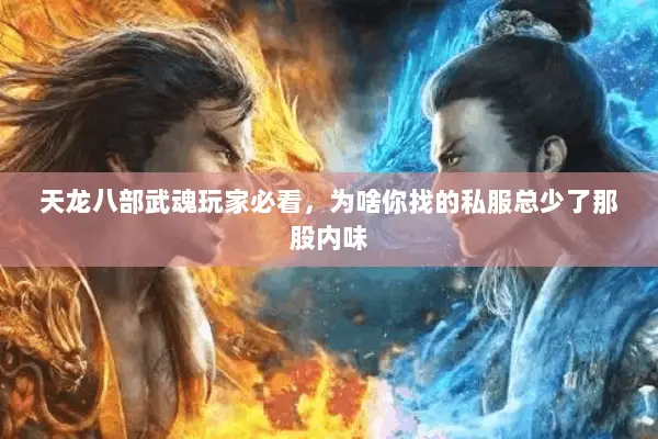 天龙八部武魂玩家必看,为啥你找的私服总少了那股内味 天龙八部武魂玩家必看,为啥你找的私服总少了那股内味