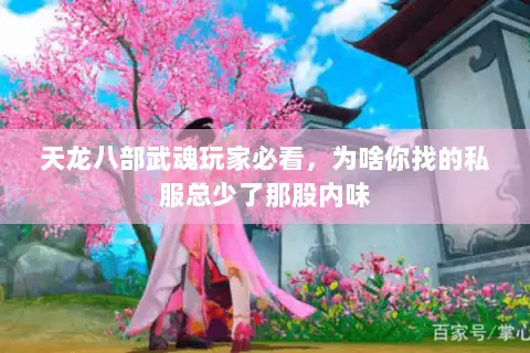 天龙八部武魂玩家必看,为啥你找的私服总少了那股内味 天龙八部武魂玩家必看,为啥你找的私服总少了那股内味