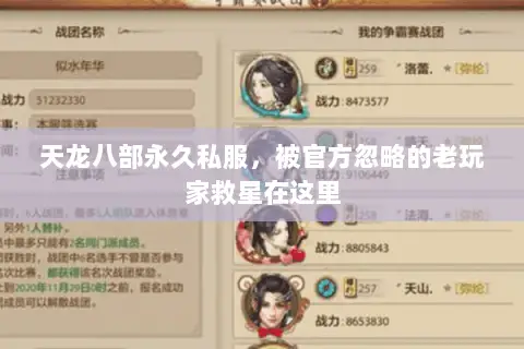 天龙八部永久私服,被官方忽略的老玩家救星在这里 天龙八部永久私服,被官方忽略的老玩家救星在这里