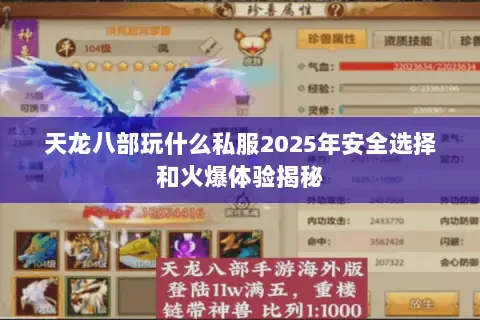 天龙八部玩什么私服2025年安全选择和火爆体验揭秘