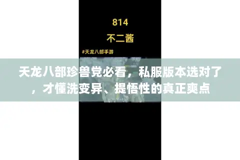 天龙八部珍兽党必看，私服版本选对了，才懂洗变异、提悟性的真正爽点
