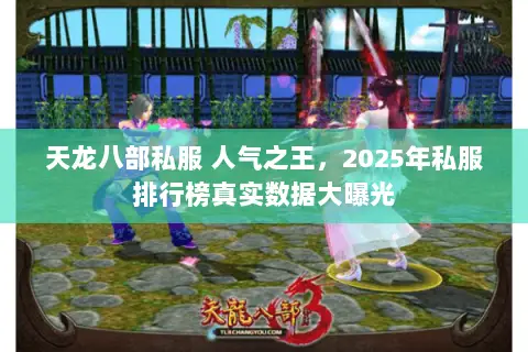 天龙八部私服 人气之王,2025年私服排行榜真实数据大曝光 天龙八部私服 人气之王,2025年私服排行榜真实数据大曝光