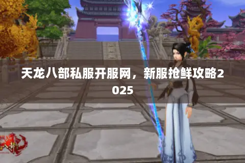天龙八部私服开服网，新服抢鲜攻略2025