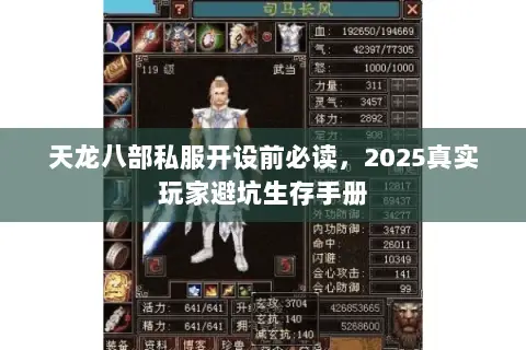 天龙八部私服开设前必读，2025真实玩家避坑生存手册