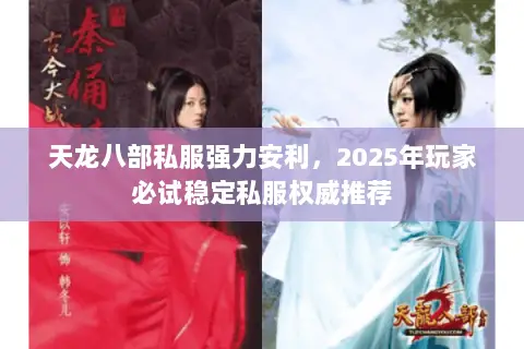 天龙八部私服强力安利,2025年玩家必试稳定私服权威推荐 天龙八部私服强力安利,2025年玩家必试稳定私服权威推荐