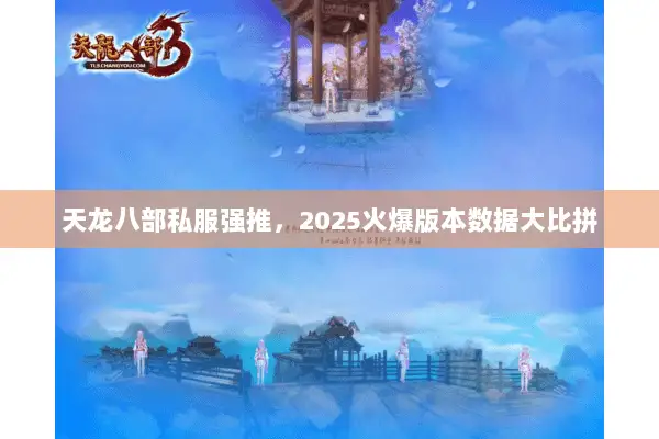 天龙八部私服强推，2025火爆版本数据大比拼