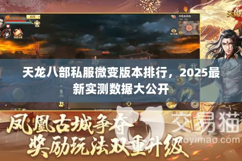 天龙八部私服微变版本排行，2025最新实测数据大公开