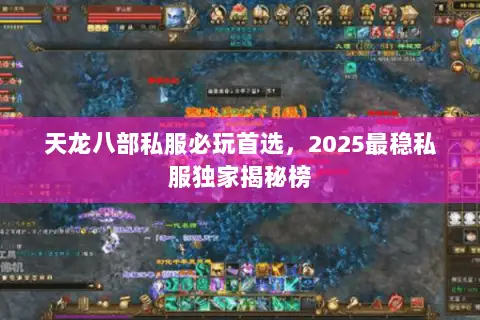天龙八部私服必玩首选,2025最稳私服独家揭秘榜 天龙八部私服必玩首选,2025最稳私服独家揭秘榜