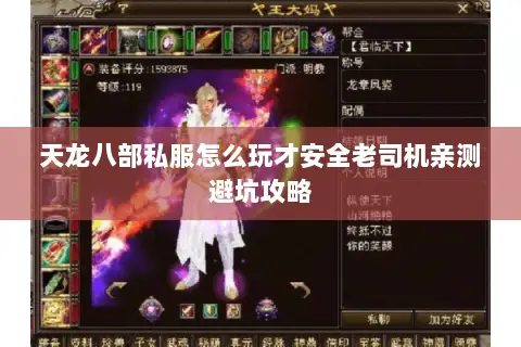天龙八部私服怎么玩才安全老司机亲测避坑攻略 天龙八部私服怎么玩才安全老司机亲测避坑攻略