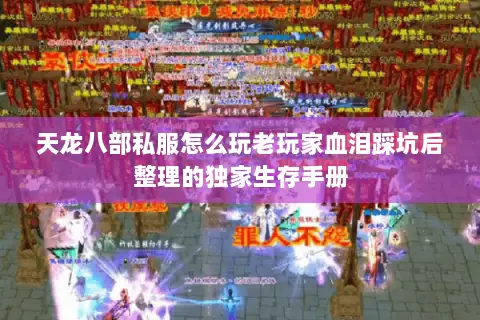 天龙八部私服怎么玩老玩家血泪踩坑后整理的独家生存手册 天龙八部私服怎么玩老玩家血泪踩坑后整理的独家生存手册