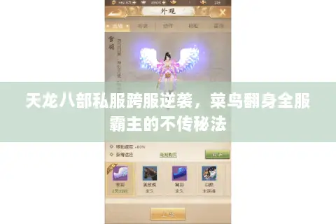 天龙八部私服跨服逆袭,菜鸟翻身全服霸主的不传秘法 天龙八部私服跨服逆袭,菜鸟翻身全服霸主的不传秘法