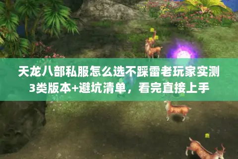 天龙八部私服怎么选不踩雷老玩家实测3类版本+避坑清单,看完直接上手 天龙八部私服怎么选不踩雷老玩家实测3类版本+避坑清单,看完直接上手