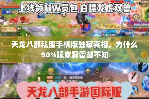 天龙八部私服手机版独家真相,为什么90%玩家踩雷却不知 天龙八部私服手机版独家真相,为什么90%玩家踩雷却不知