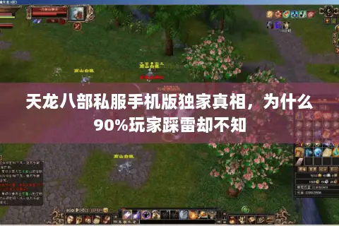 天龙八部私服手机版独家真相,为什么90%玩家踩雷却不知 天龙八部私服手机版独家真相,为什么90%玩家踩雷却不知