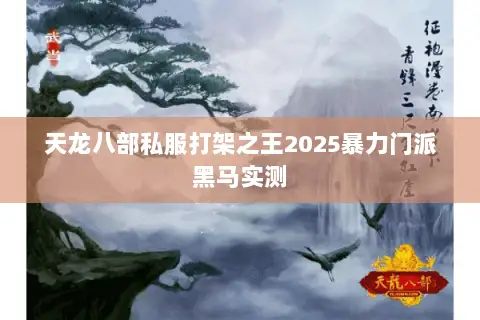 天龙八部私服打架之王2025暴力门派黑马实测 天龙八部私服打架之王2025暴力门派黑马实测