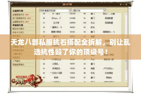 天龙八部私服抗石搭配全拆解,别让乱选抗性毁了你的顶级号! 天龙八部私服抗石搭配全拆解,别让乱选抗性毁了你的顶级号!