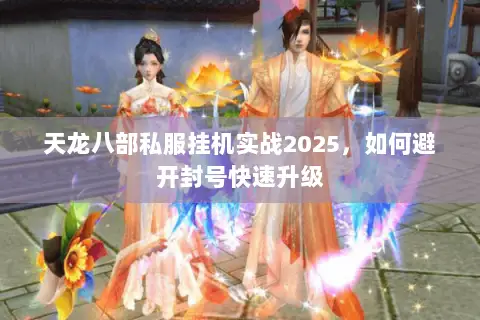天龙八部私服挂机实战2025,如何避开封号快速升级 天龙八部私服挂机实战2025,如何避开封号快速升级