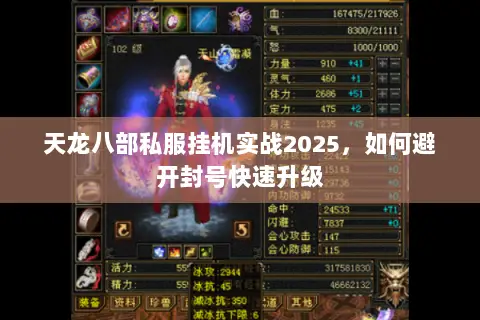 天龙八部私服挂机实战2025,如何避开封号快速升级 天龙八部私服挂机实战2025,如何避开封号快速升级