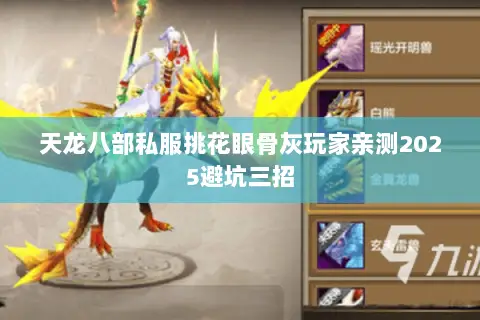 天龙八部私服挑花眼骨灰玩家亲测2025避坑三招