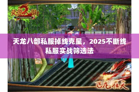天龙八部私服掉线克星,2025不断线私服实战筛选法 天龙八部私服掉线克星,2025不断线私服实战筛选法