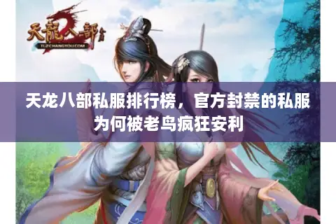 天龙八部私服排行榜，官方封禁的私服为何被老鸟疯狂安利
