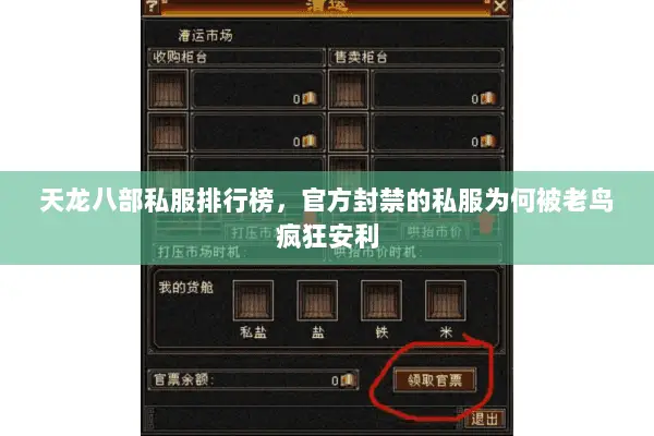 天龙八部私服排行榜，官方封禁的私服为何被老鸟疯狂安利