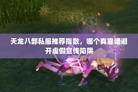 天龙八部私服推荐指数,哪个真靠谱避开虚假宣传陷阱 天龙八部私服推荐指数,哪个真靠谱避开虚假宣传陷阱