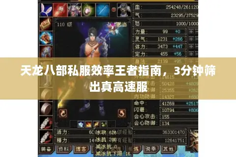 天龙八部私服效率王者指南,3分钟筛出真高速服 天龙八部私服效率王者指南,3分钟筛出真高速服