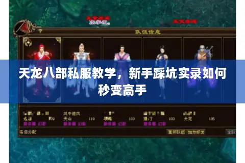 天龙八部私服教学，新手踩坑实录如何秒变高手