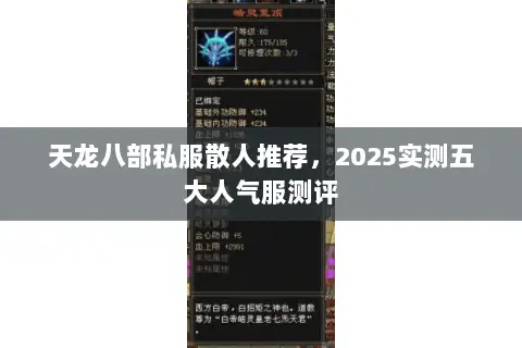 天龙八部私服散人推荐,2025实测五大人气服测评 天龙八部私服散人推荐,2025实测五大人气服测评