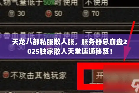 天龙八部私服散人服，服务器总崩盘2025独家散人天堂速通秘笈！